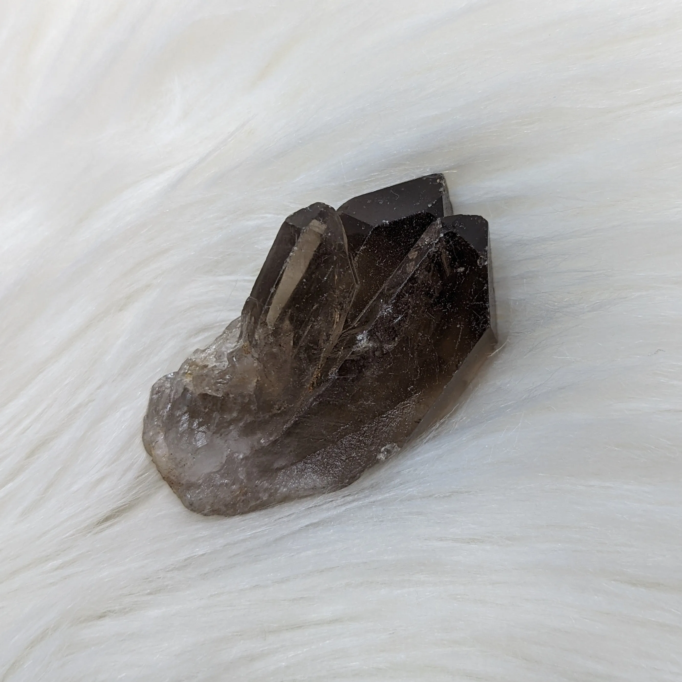 Adorable Smoky Quartz Point cluster of Three