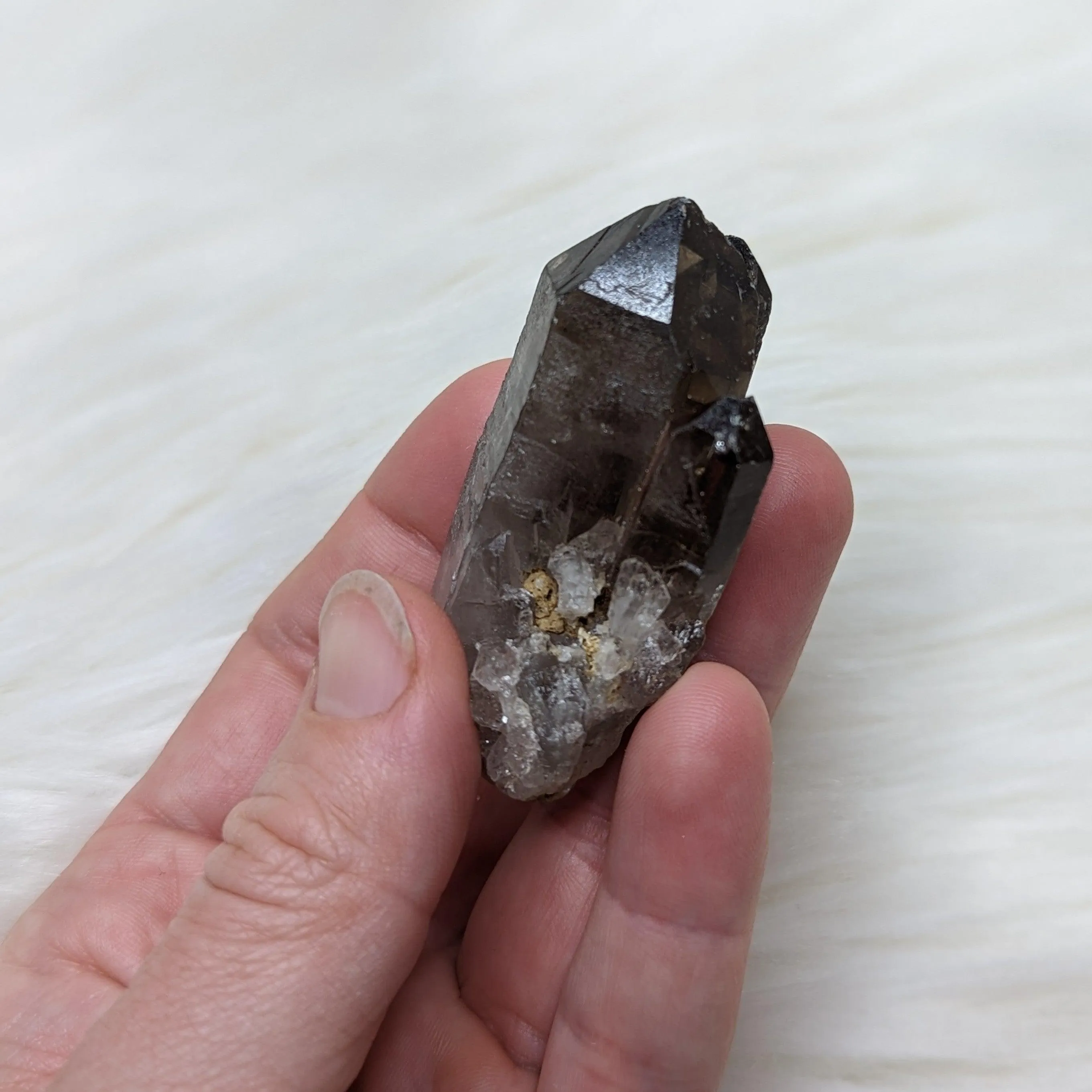 Adorable Smoky Quartz Point cluster of Three