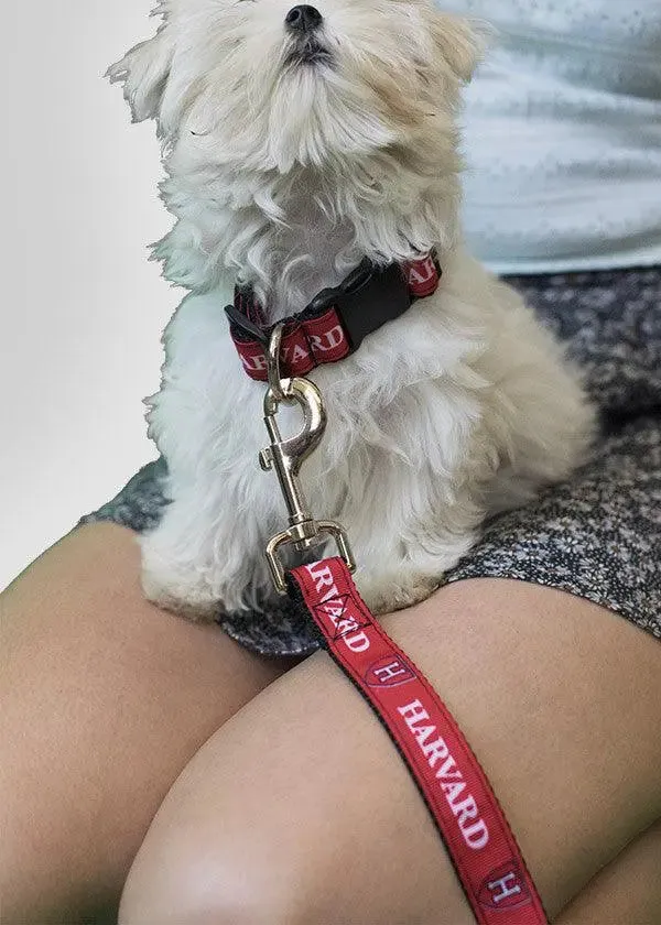 Harvard Shield Dog Leash